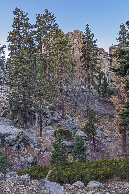 Castle Rock Trail